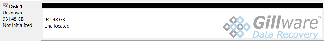 Laptop data recovery - disk not initialized