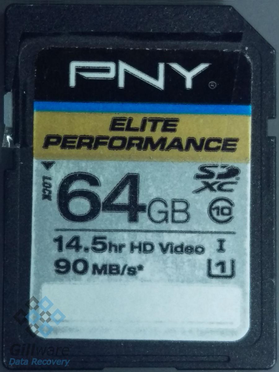 Photo recovery: PNY Elite Performance SD Card